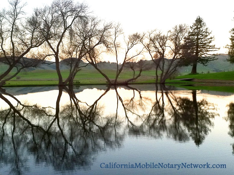 California Mobile Notary Network. Sergio Musetti West Sacramento, Yolo County. California notaries
